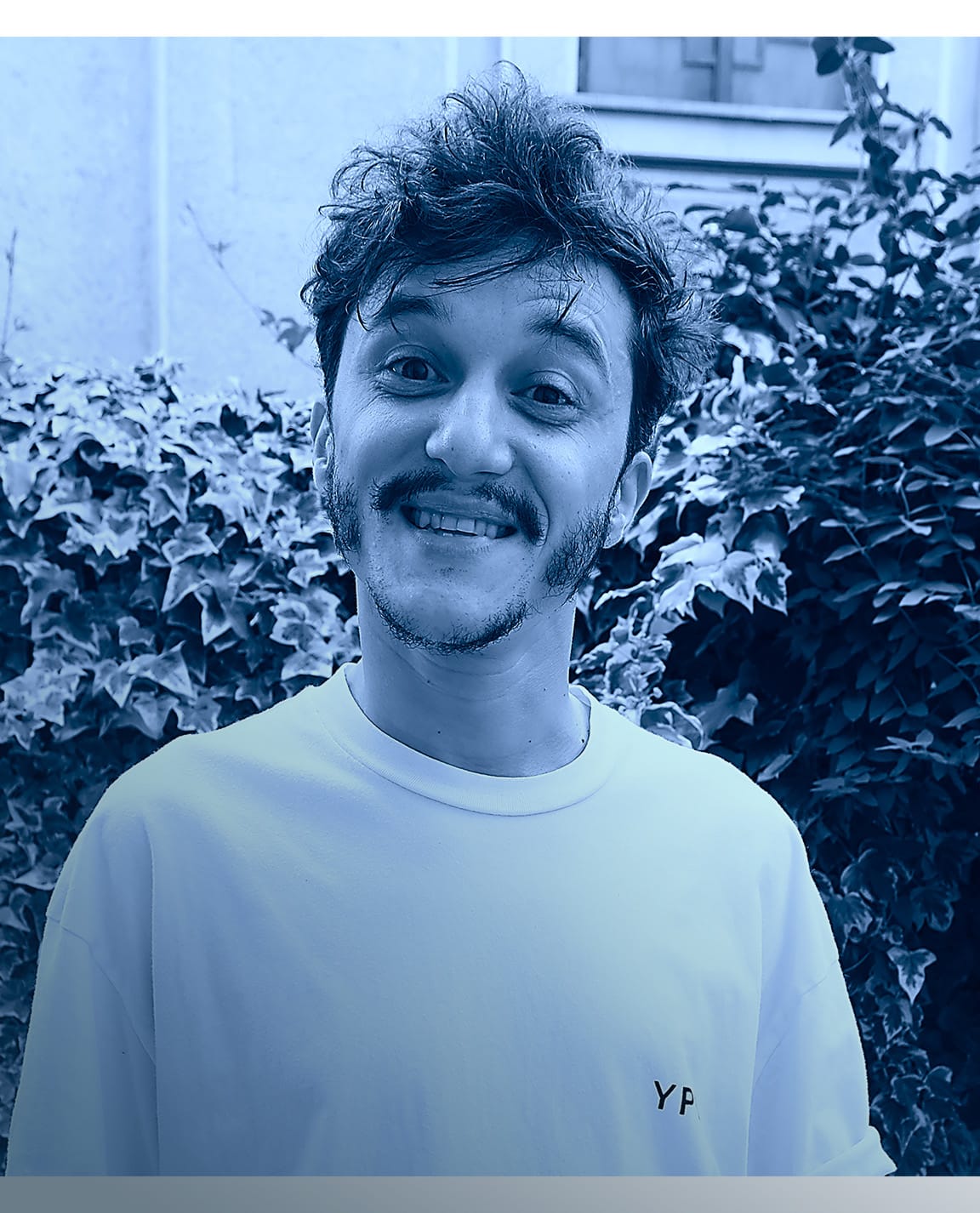 andrei georgescu - ion