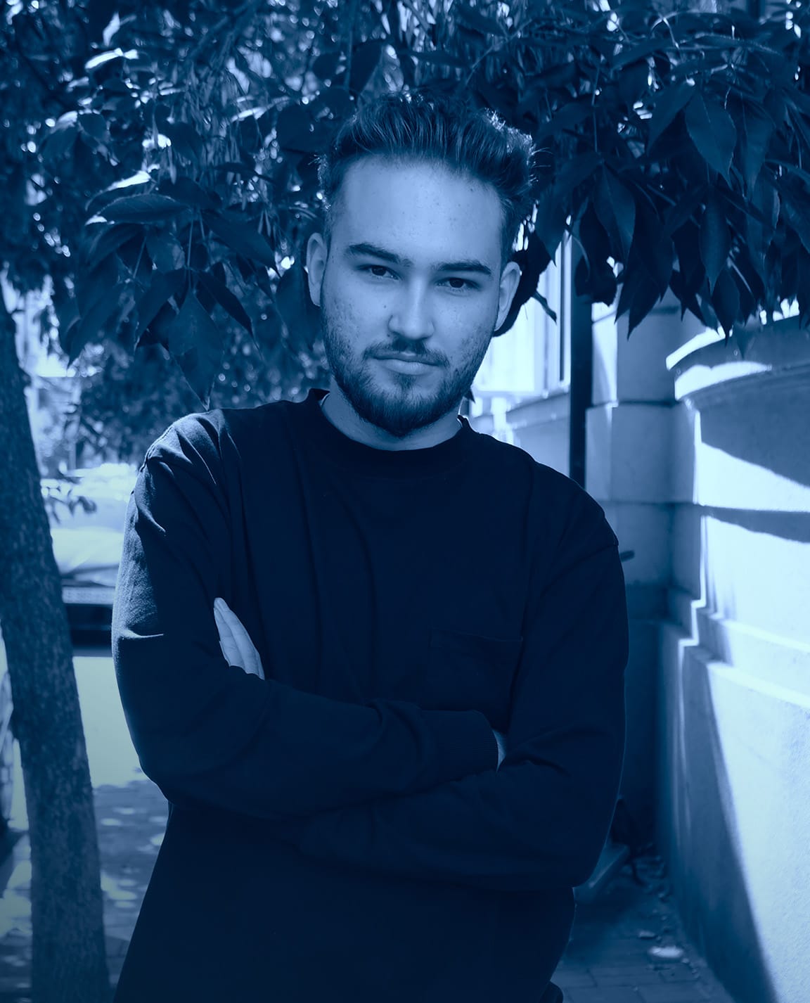 george sîrbu - Coadă